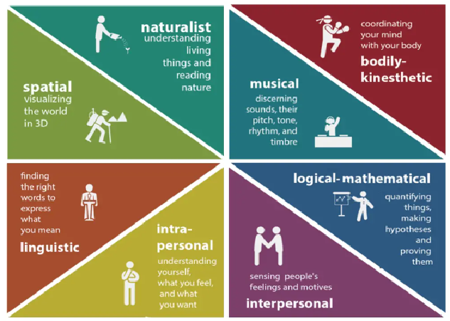 Howard Gardner s Theory of Multiple Intelligence TLS Practice